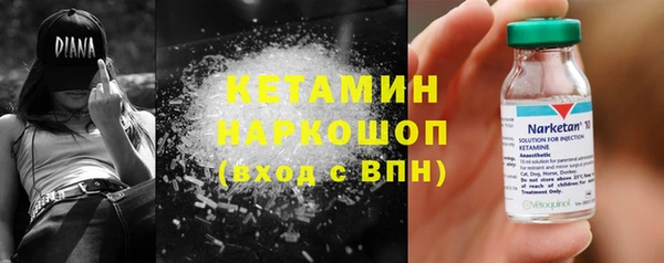 PSILOCYBIN Бородино