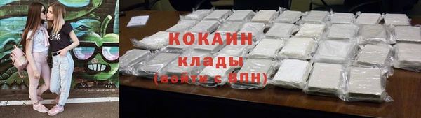 PSILOCYBIN Бородино