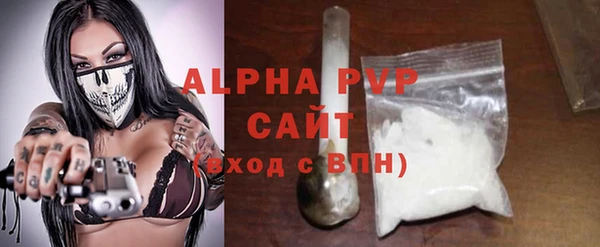 PSILOCYBIN Бородино