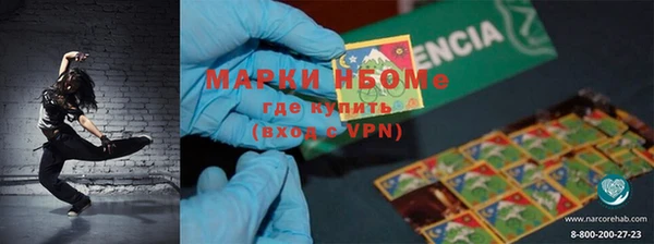 PSILOCYBIN Бородино