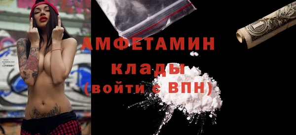 гидра Бронницы