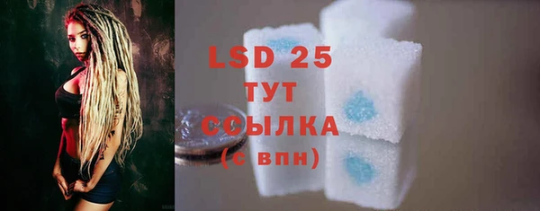 гидра Бронницы