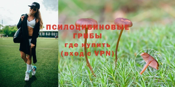 мдпв Бугульма