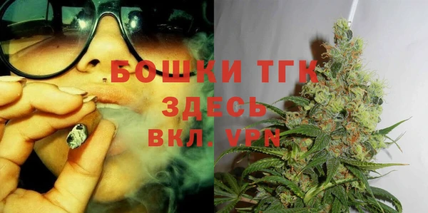 PSILOCYBIN Бородино