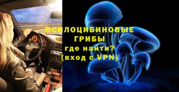 меф Заводоуковск