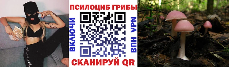Галлюциногенные грибы мухоморы  Вуктыл 